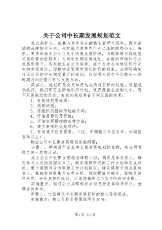 关于公司中长期发展规划范文