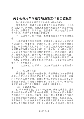 关于公务用车问题专项治理工作的自查报告