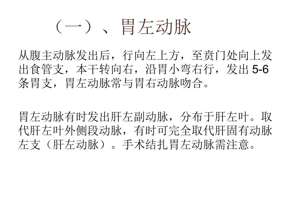 腹部血管解剖_第3页