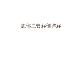 腹部血管解剖