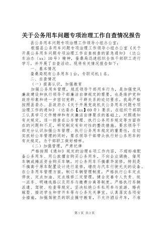 关于公务用车问题专项治理工作自查情况报告