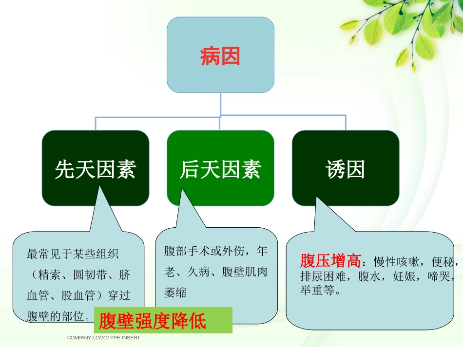 腹股沟斜疝健康宣教_第3页