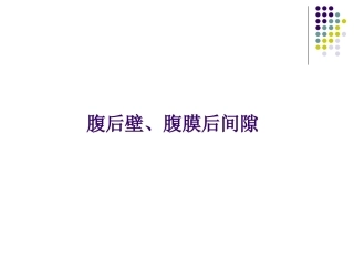 腹后壁腹膜后间隙