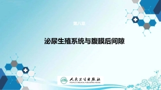 腹膜后间隙影像学检查