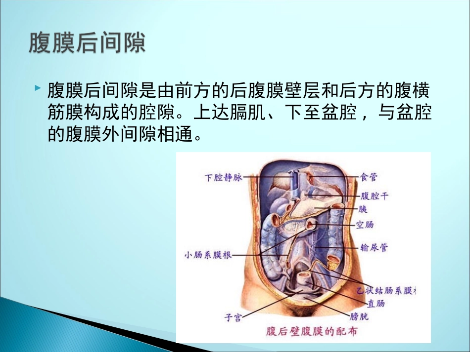 腹膜后脂肪肉瘤_第2页