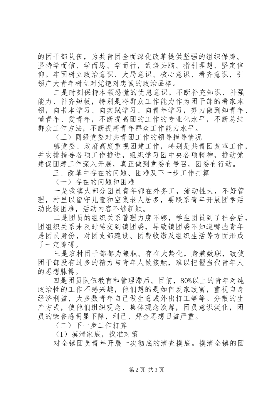 关于共青团改革工作自查报告_第2页