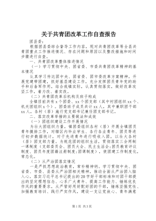 关于共青团改革工作自查报告