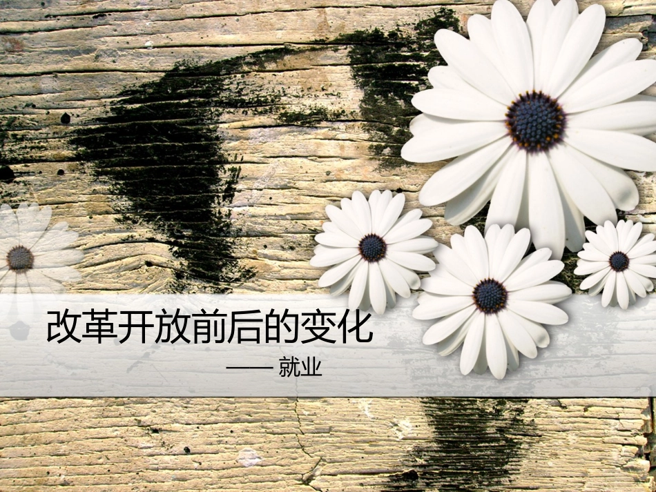 改革开放前后的变化就业_第1页