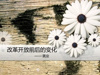 改革开放前后的变化就业