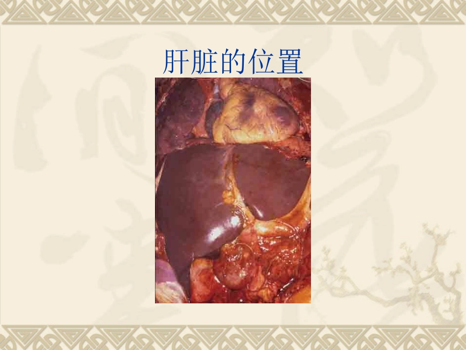 肝穿刺活检术的护理_第3页