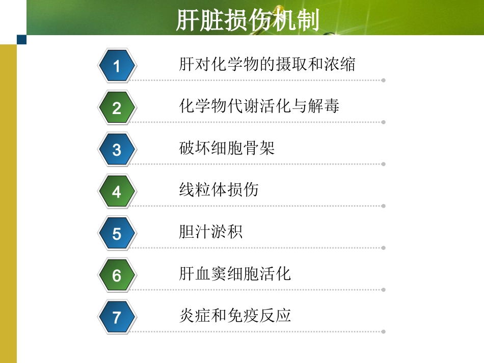 肝脏损伤机制_第2页