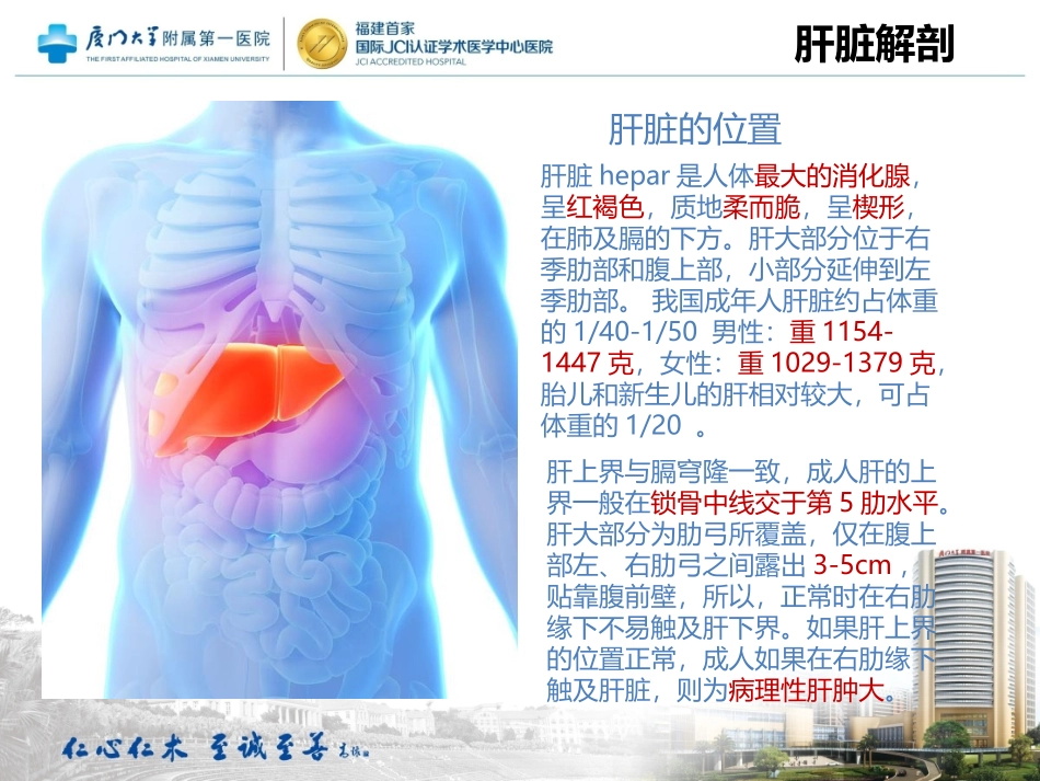 肝左叶切除的手术配合_第3页