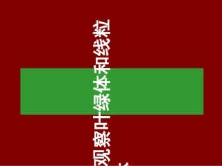 高倍镜观察叶绿体和线粒体
