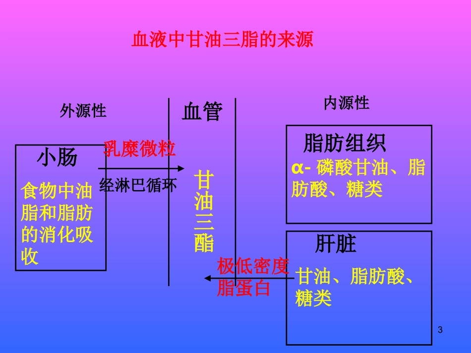 高甘油三酯血症课件_第3页