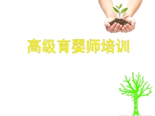 高级育婴师培训相关法规
