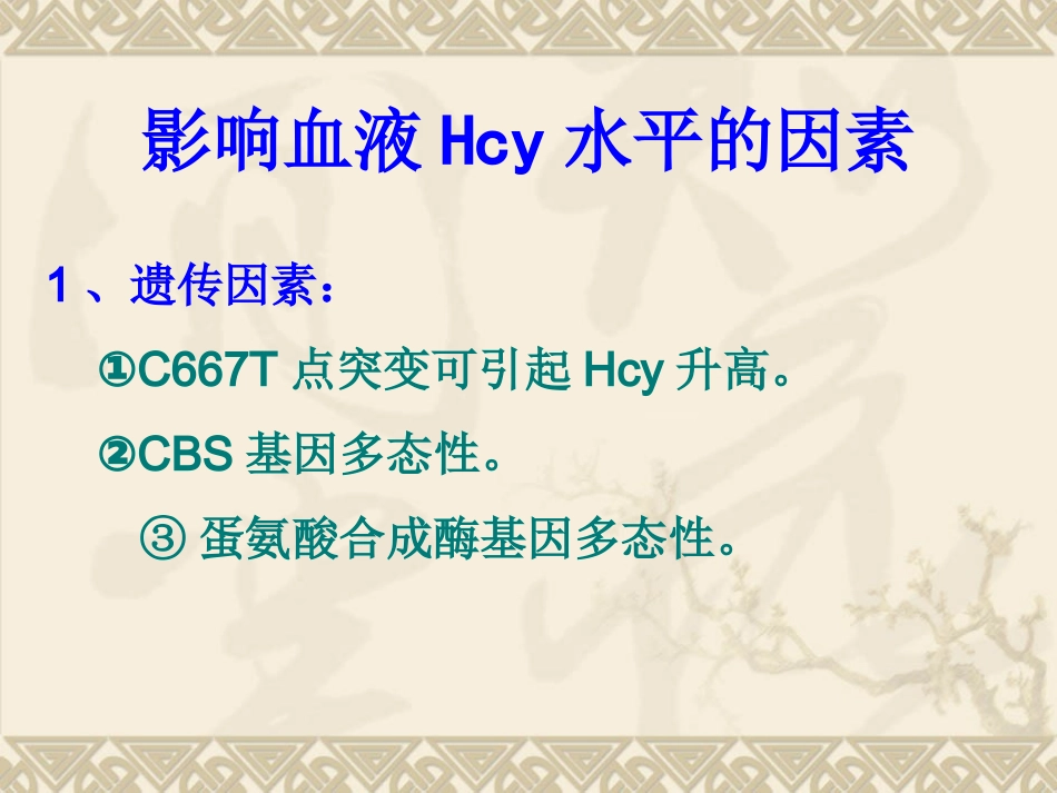 高同型半胱氨酸血症的治疗_第3页