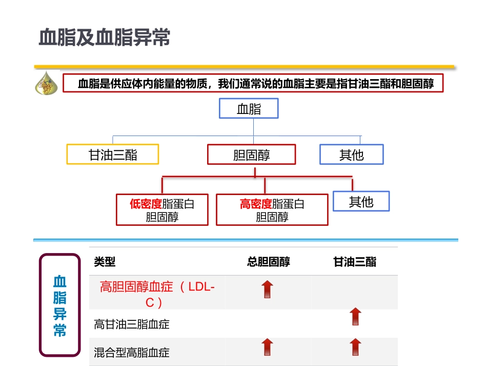 高脂血症患者教育_第1页