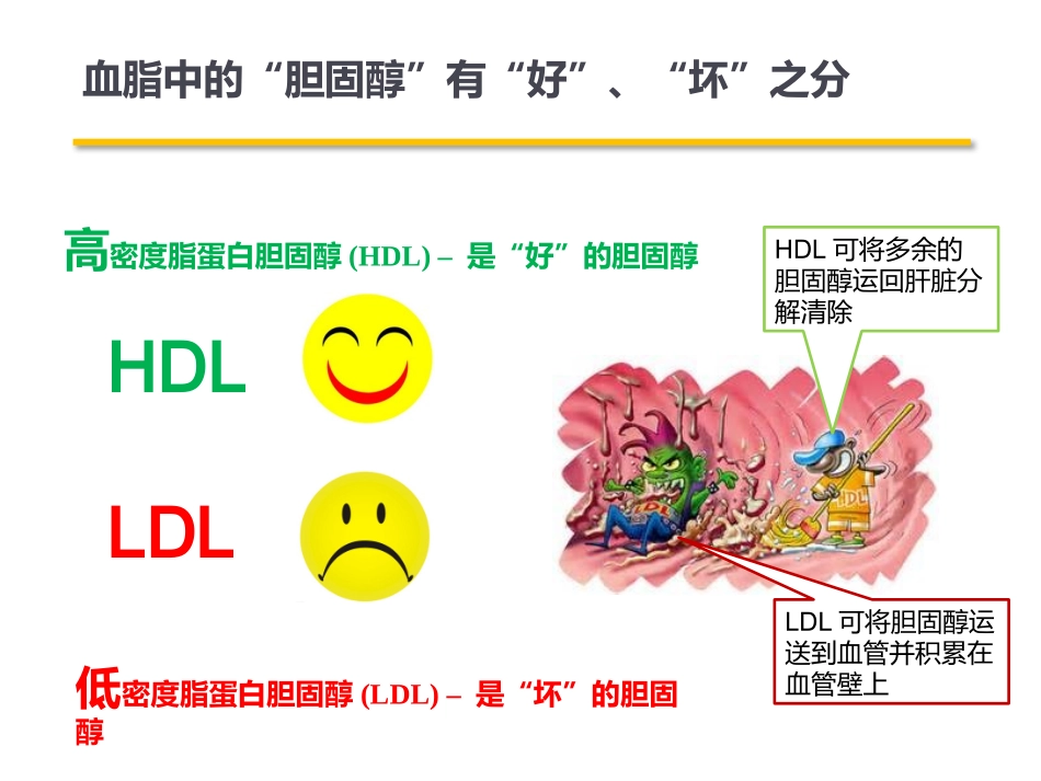 高脂血症患者教育_第2页