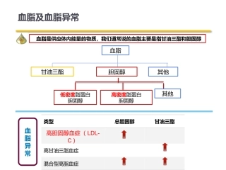 高脂血症患者教育
