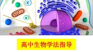 高中生物学法指导建议