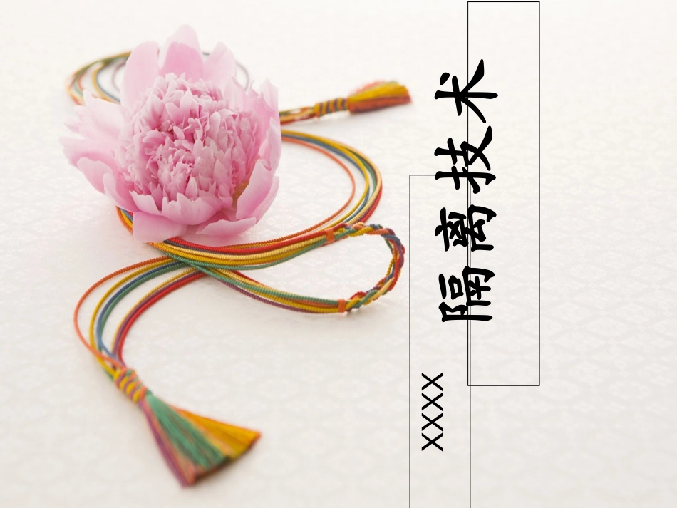 隔离技术最新技术_第1页