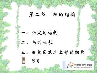 根尖的结构实验