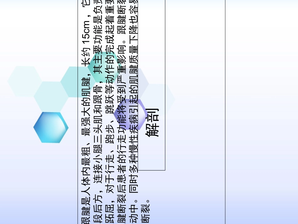 跟腱断裂护理查房_第2页