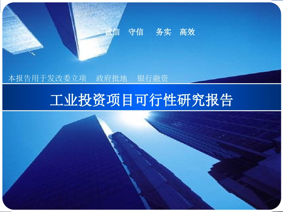工业投资项目可行性研究报告_第1页