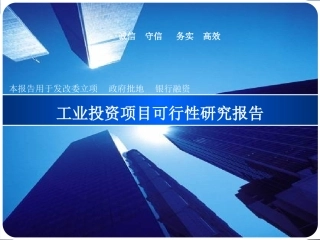 工业投资项目可行性研究报告