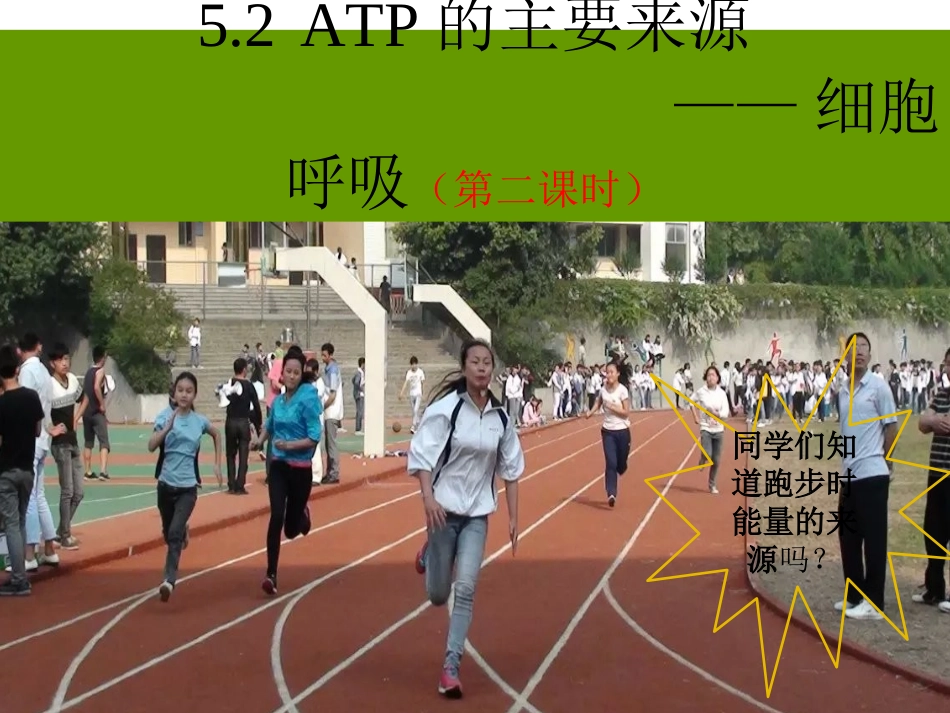 公开课细胞呼吸_第1页