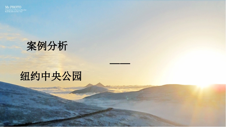 公园案例分析_第2页