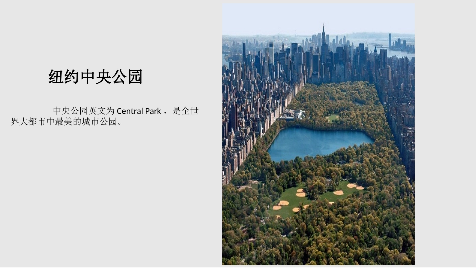 公园案例分析_第3页