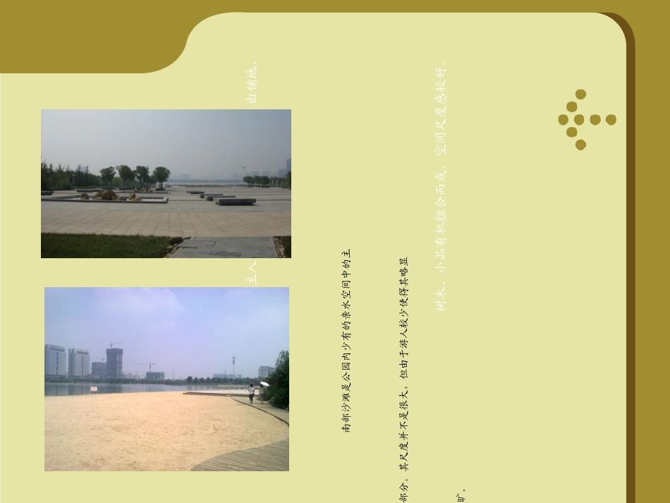 公园调研报告_第3页