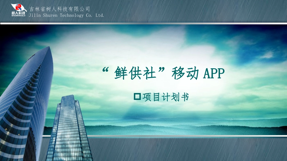 供应链商业计划书新_第1页