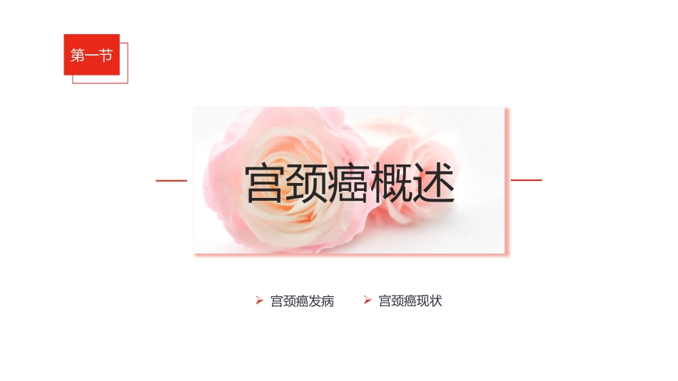 宫颈癌和HPV疫苗医疗保健宣传_第3页