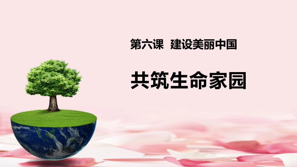 共筑生命家园课件_第1页