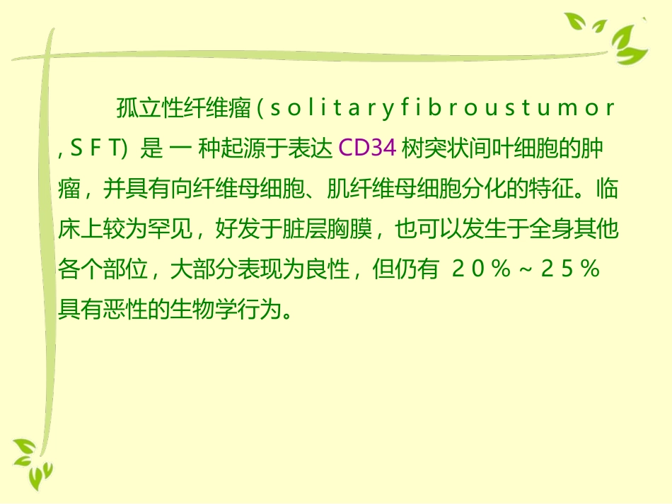 孤立性纤维瘤_第2页