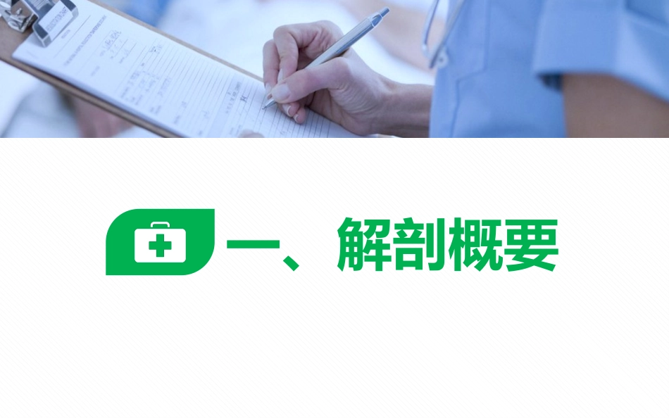 股骨转子间骨折_第3页