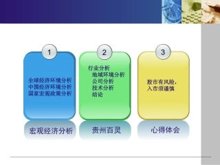 股票投资分析报告
