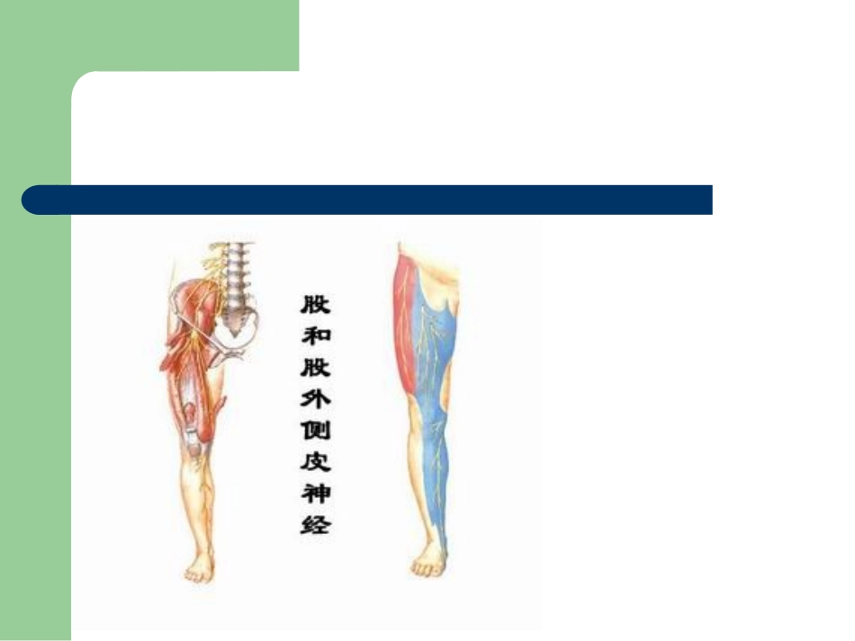 股前外侧皮瓣_第3页