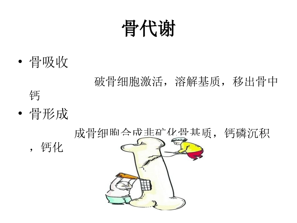 骨的代谢及骨折愈合_第3页