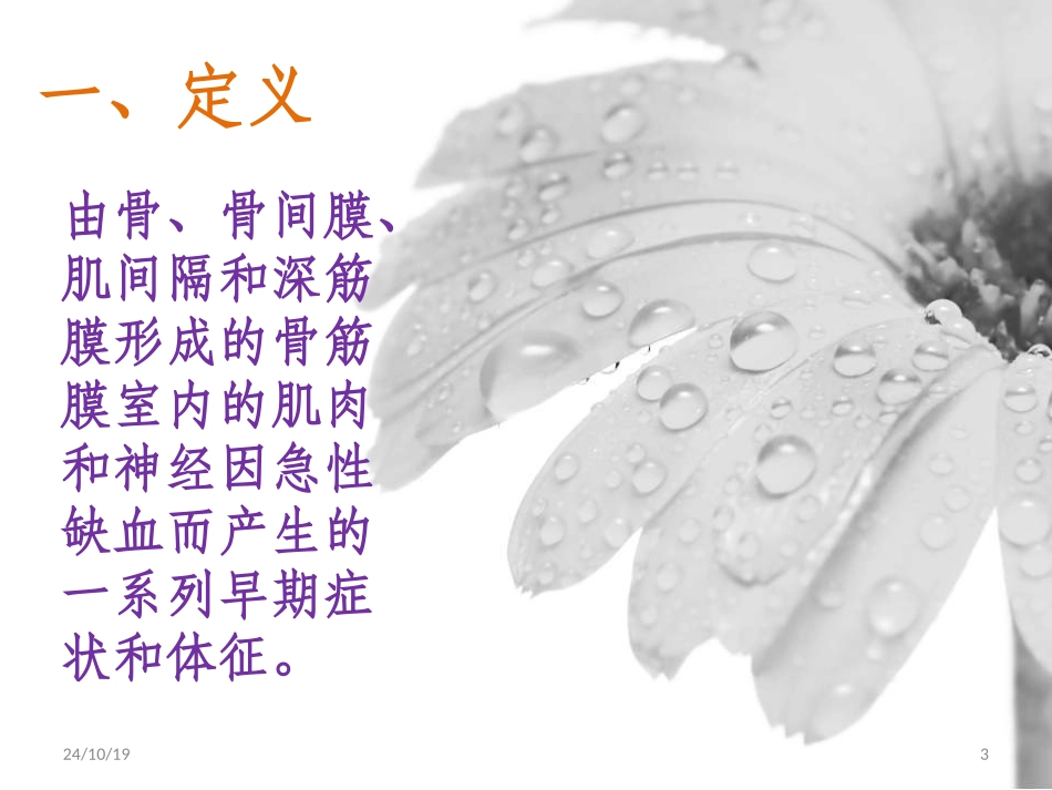 骨科我的小讲课课件_第3页