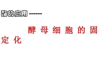 固定化酵母细胞