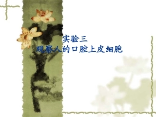 观察人的口腔上皮细胞