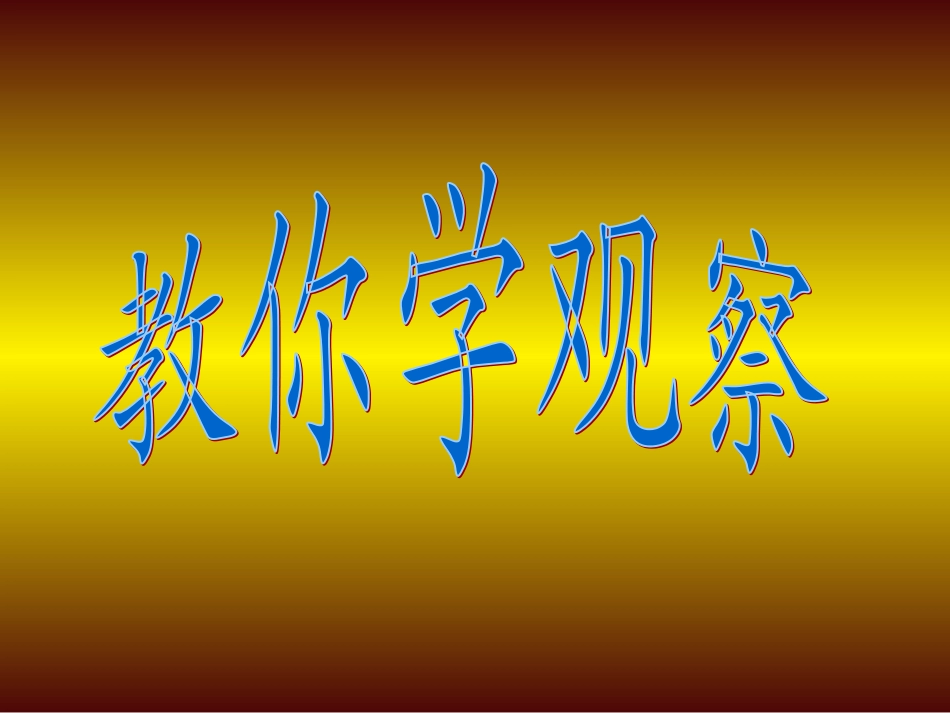 观察日记石榴_第1页