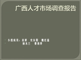 广西人才市场调查报告