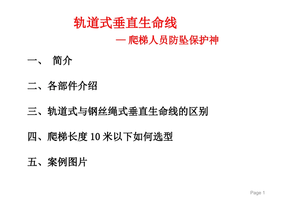 轨道式垂直爬梯生命线_第1页