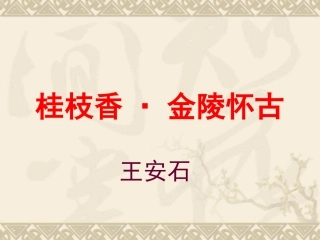 桂枝香金陵怀古精品实用课件