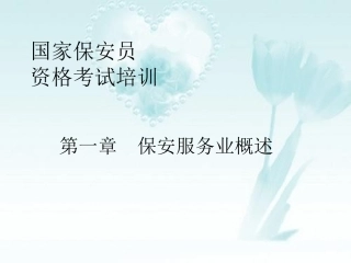国家保安员资格考试培训文档