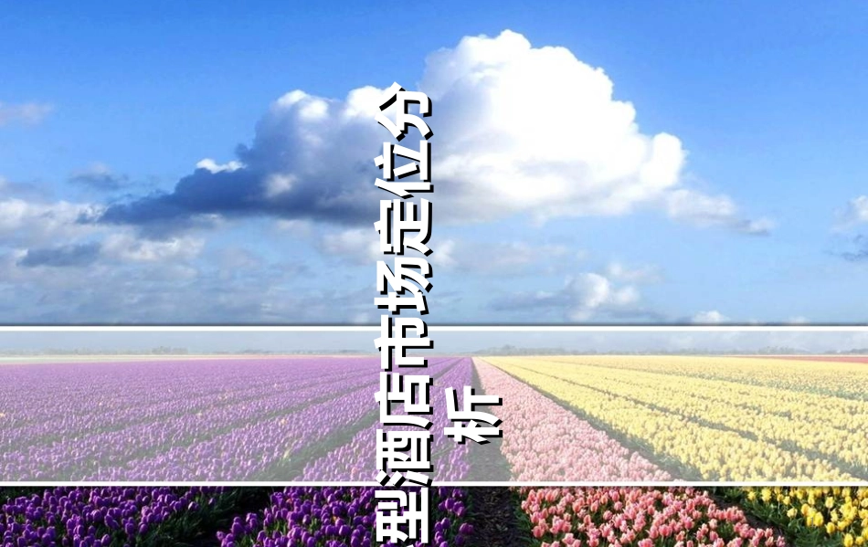 汉庭市场定位分析市场营销_第1页